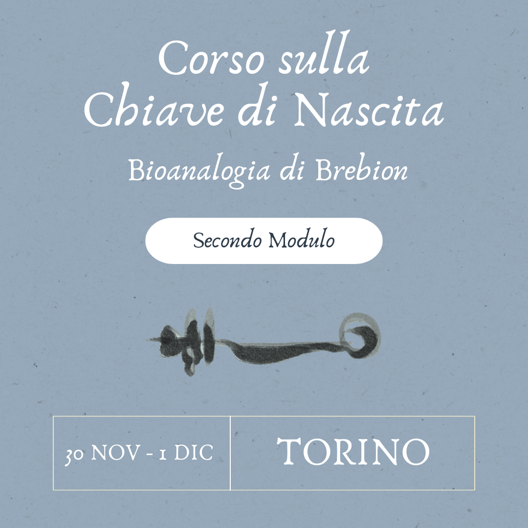 Bioanalogia Secondo livello - Torino