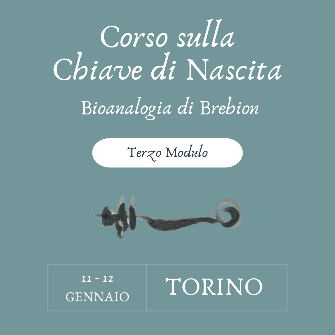 Bioanalogia Terzo Livello - Torino