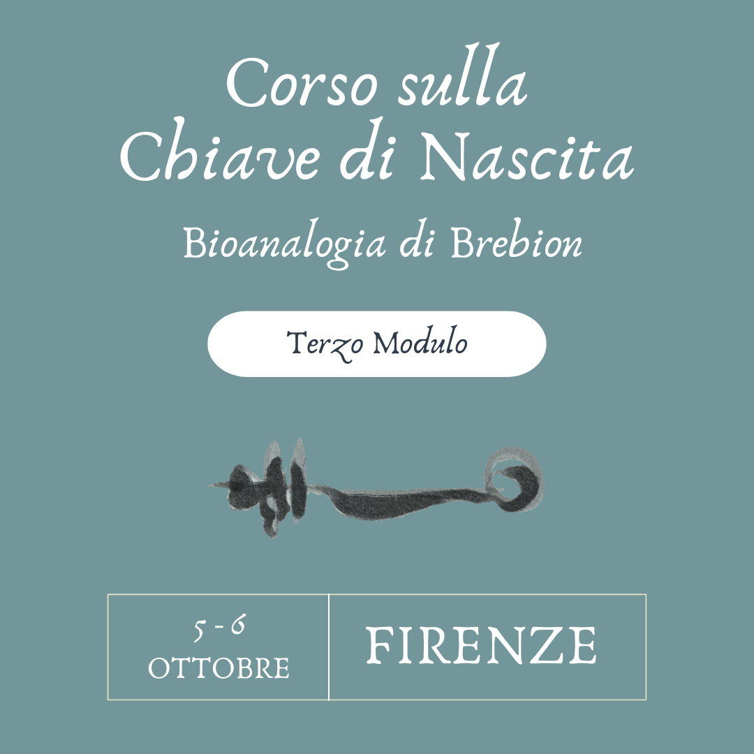 Corso sull'Impronta di Nascita - Terzo modulo - Firenze - Ottobre 2024
