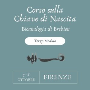 Bioanalogia Terzo Livello - Firenze