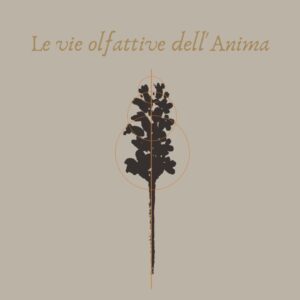 Le vie olfattive dell'Anima