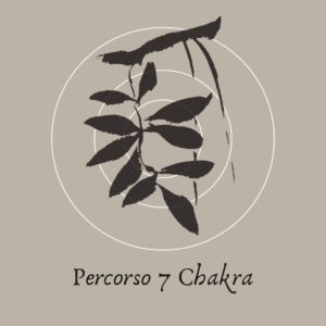 Percorso sette chakra