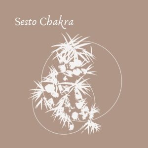 Sesto Chakra