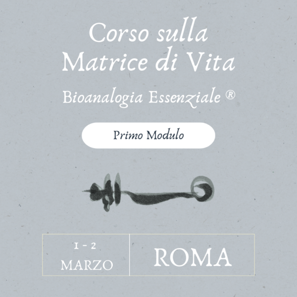 Corso sulla Matrice di Vita - Primo modulo - Roma - 1/2 Marzo 2025