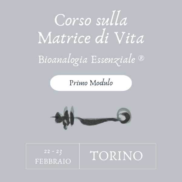 Corso sulla Matrice di Vita – Primo modulo – Torino – 22/23 Febbraio