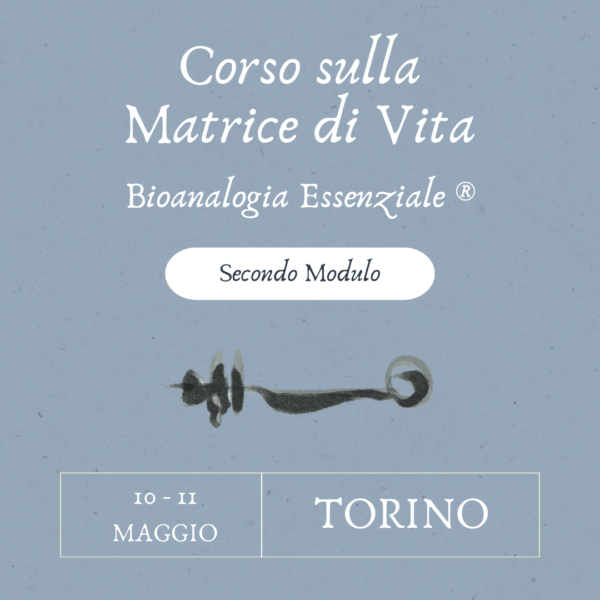 Corso sulla Matrice di Vita – Secondo modulo – Torino – 10/11 Maggio