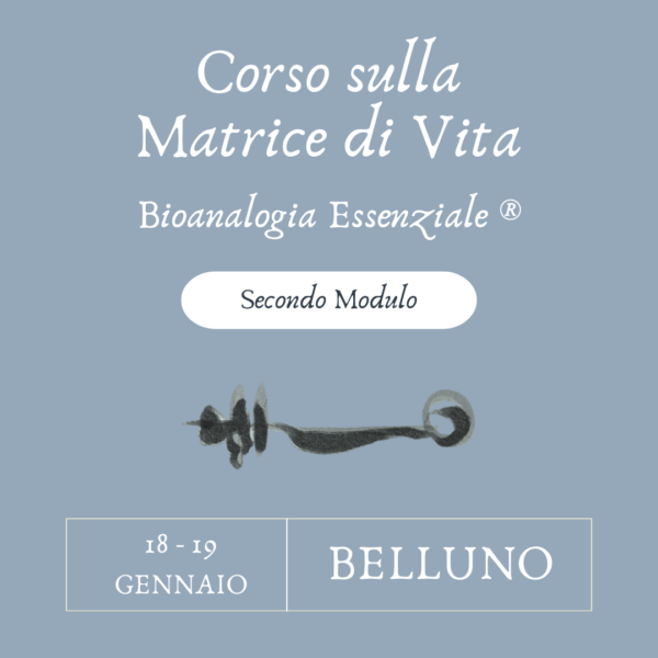 Corso sulla Matrice di Vita – Secondo modulo – Belluno – 18/19 Gennaio