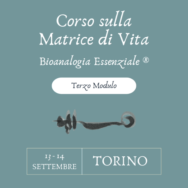 Corso sulla Matrice di Vita - Terzo modulo - Torino - 13/14 Settembre