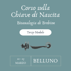 Corso sull'Impronta di Nascita - Terzo modulo - Belluno - 22/23 Marzo