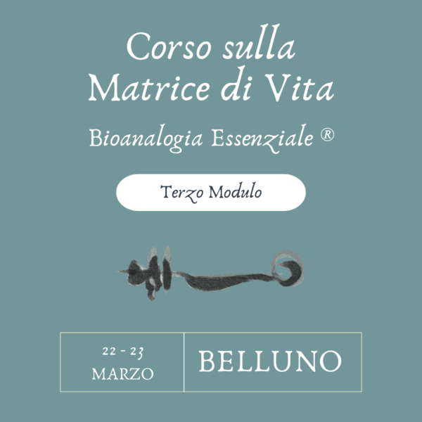 Corso sulla Matrice di Vita - Terzo modulo - Belluno - 22/23 Marzo