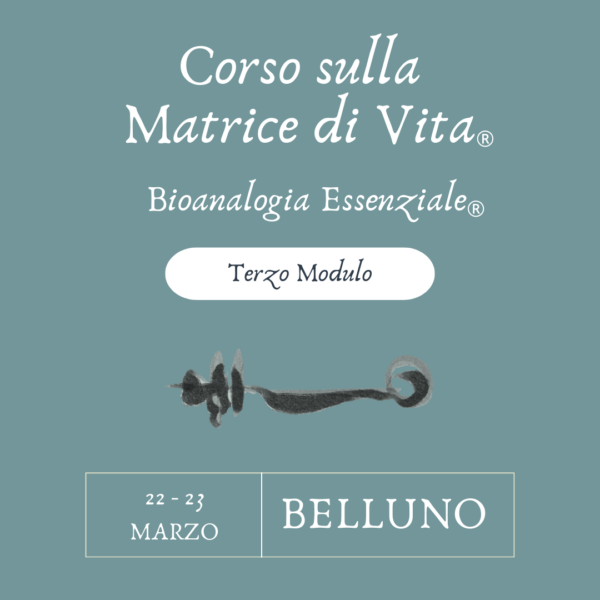 CORSO SULLA MATRICE DI VITA - TERZO MODULO – BELLUNO - 22/23 MARZO